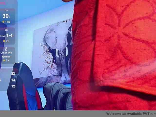 Thalia-skizy webcam