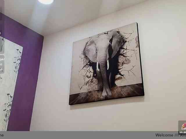 Thalia-skizy webcam