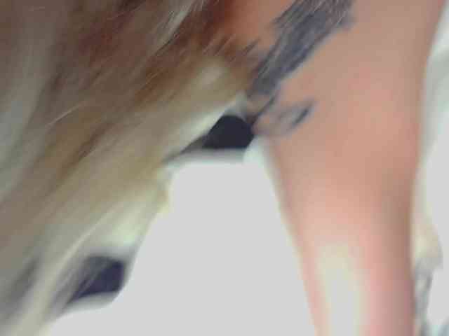 YourFunnyBlondiee webcam