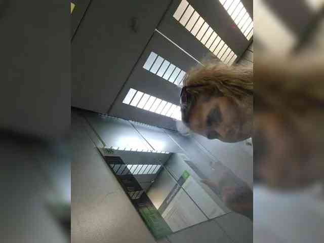 YourFunnyBlondiee