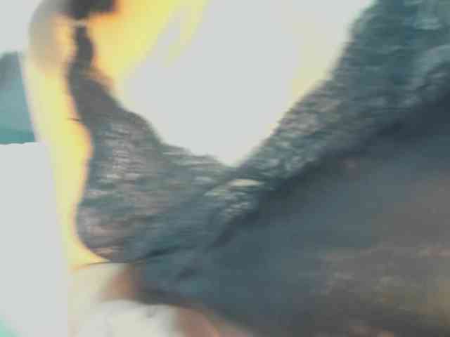 Aura-torres webcam