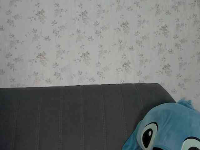 Aura-torres webcam