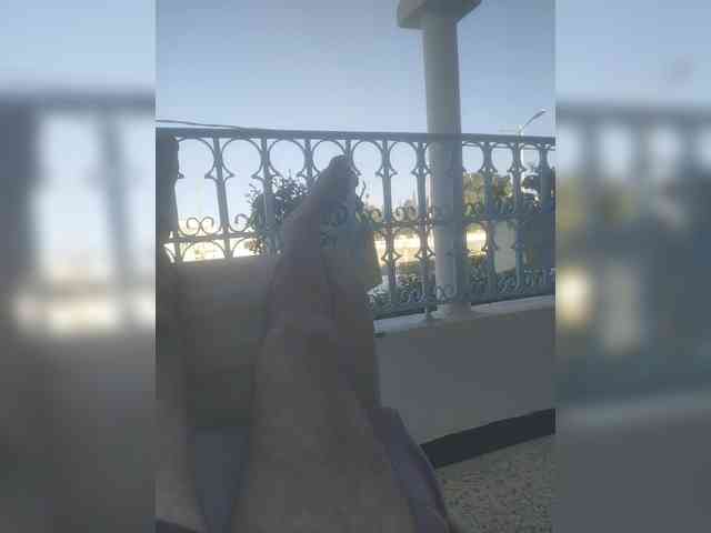Perfecttboyy