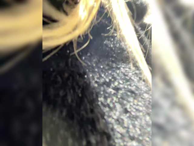 elegantbabe's BongaCams show and profile