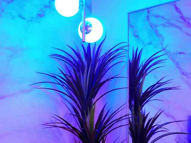 Izabelle02 Izabelle02