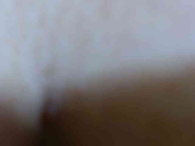 AlexaBenet webcam