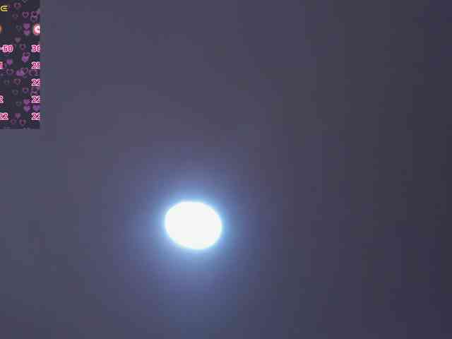 carlawoods webcam