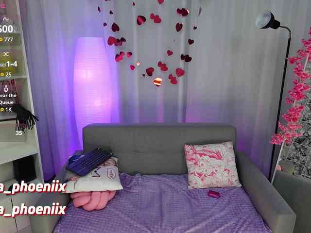 AidaPhoenix webcam