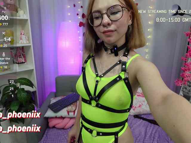 AidaPhoenix webcam