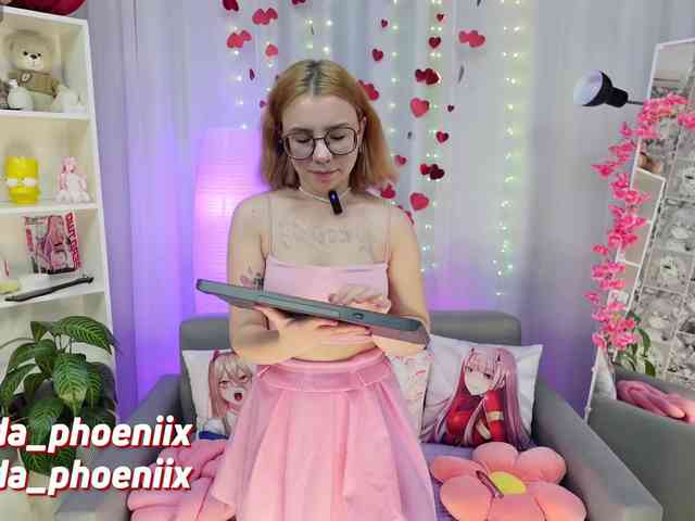 AidaPhoenix webcam