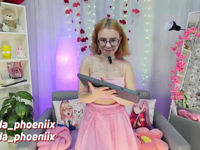 AidaPhoenix webcam