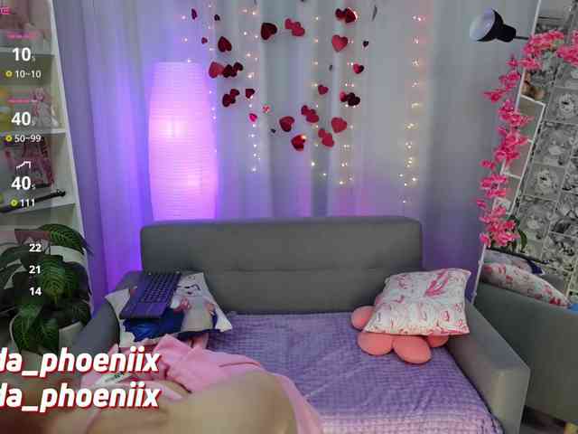 AidaPhoenix webcam
