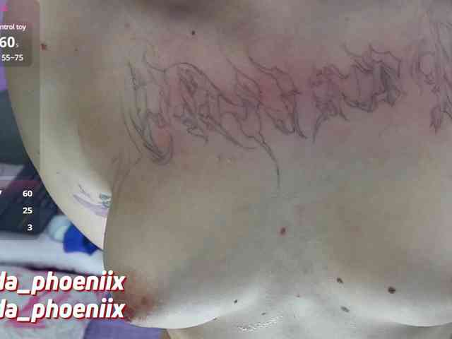 AidaPhoenix webcam