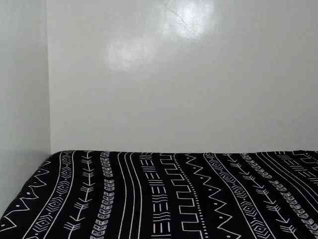 avapinay webcam