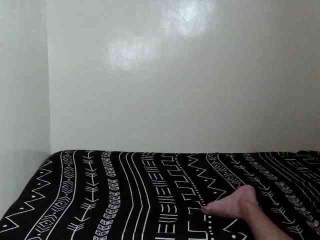 avapinay webcam
