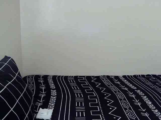 avapinay webcam