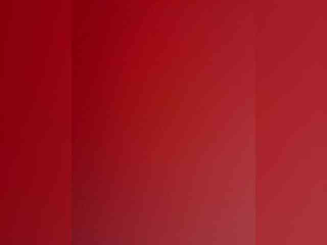 Rina2033 webcam