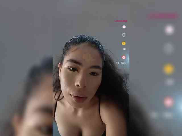 LeiaStone webcam