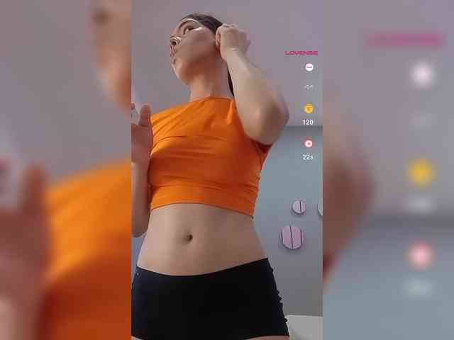 LeiaStone webcam