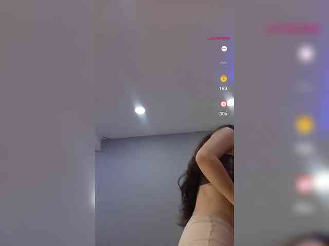LeiaStone webcam