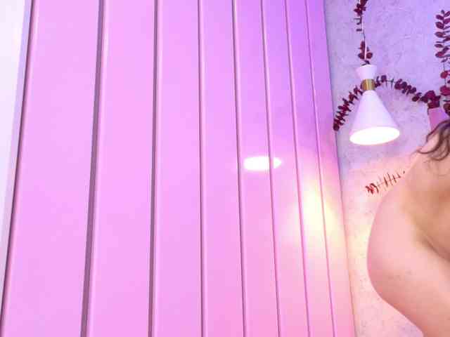 LeiaStone webcam