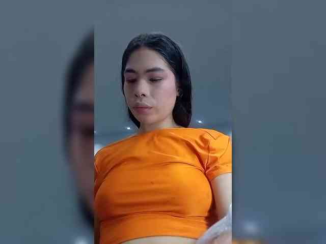 LeiaStone webcam