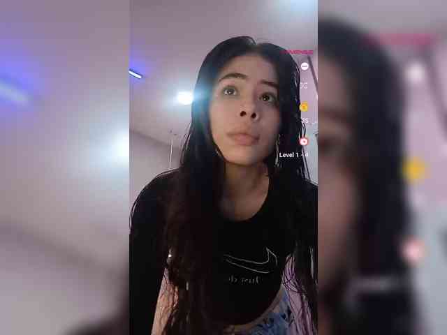 LeiaStone webcam