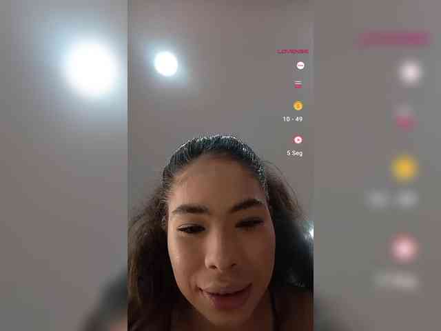 LeiaStone
