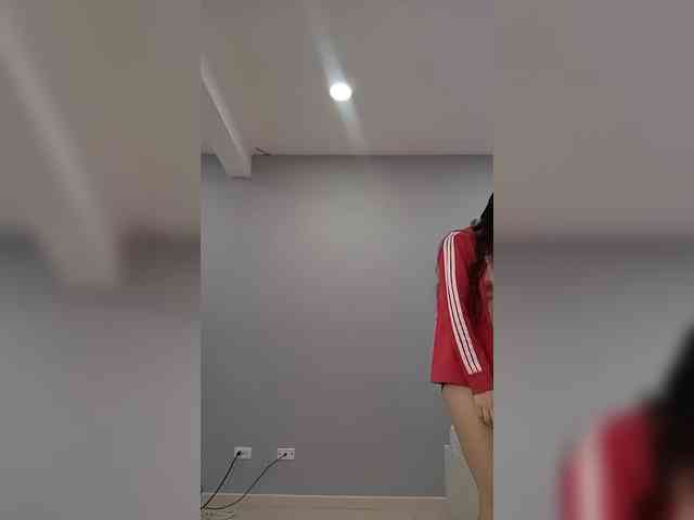 LeiaStone webcam