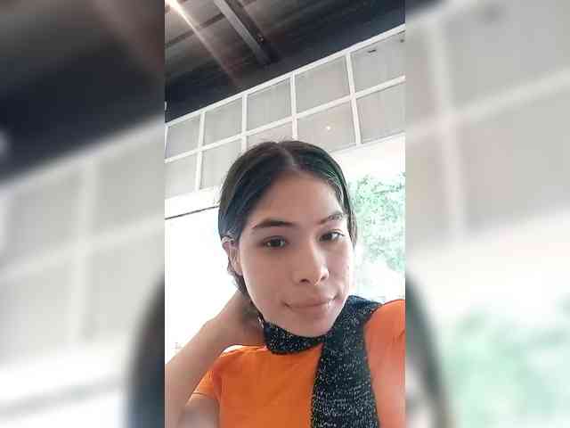 LeiaStone webcam