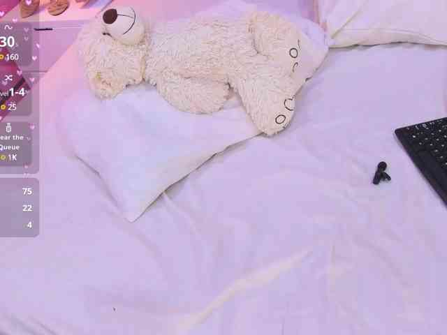 LeiaStone webcam