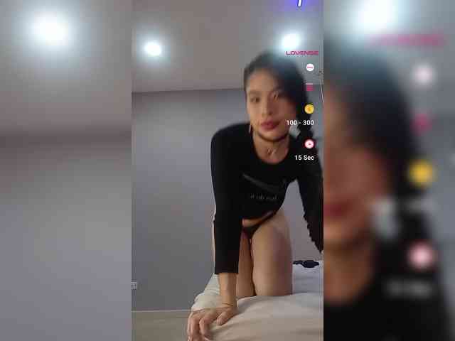 LeiaStone webcam