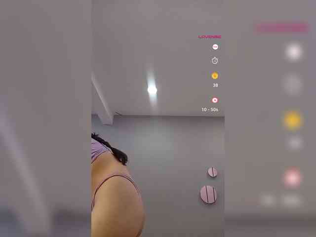 LeiaStone webcam
