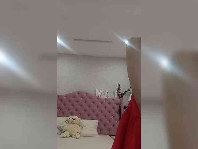 LeiaStone webcam
