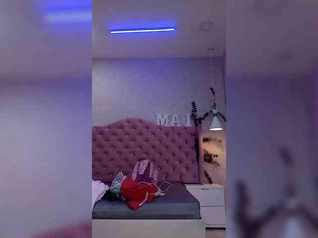 LeiaStone webcam