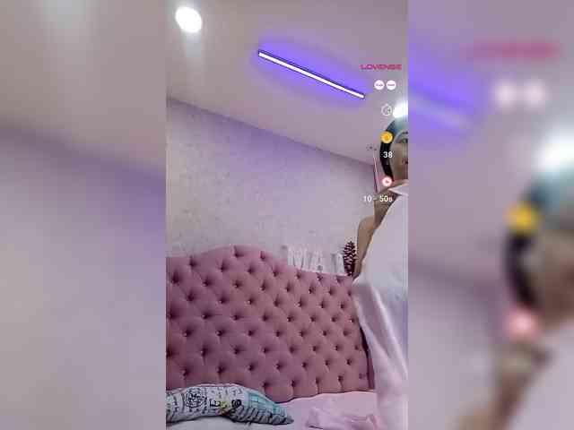 LeiaStone webcam