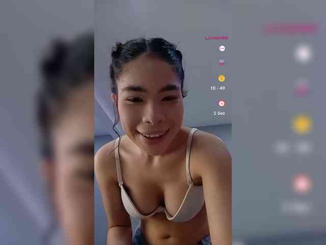 LeiaStone webcam