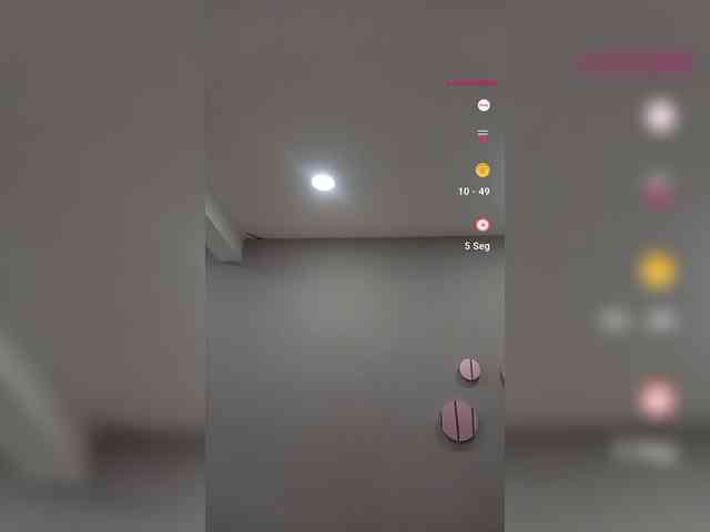 LeiaStone webcam