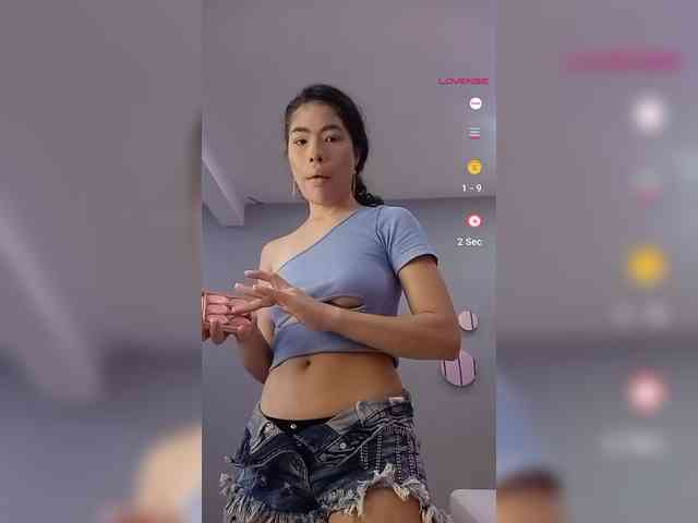 LeiaStone webcam