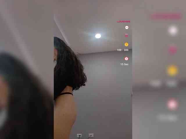 LeiaStone webcam