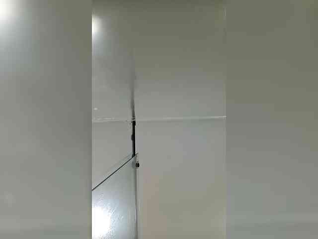 LeiaStone webcam