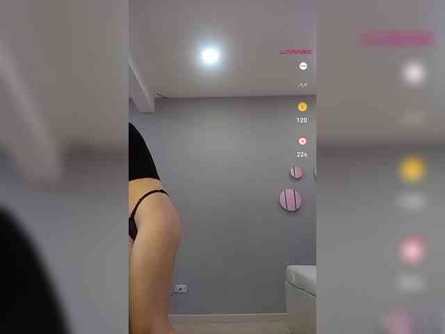 LeiaStone webcam