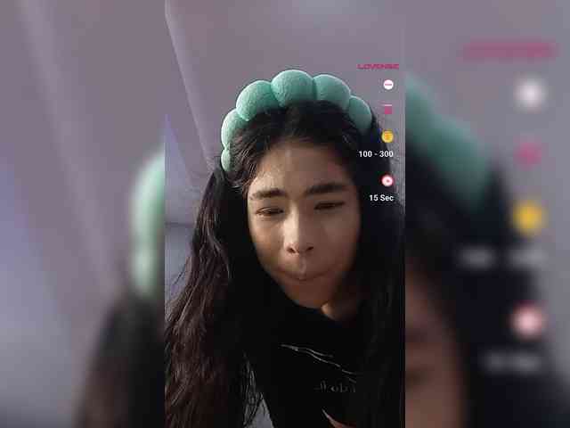 LeiaStone webcam