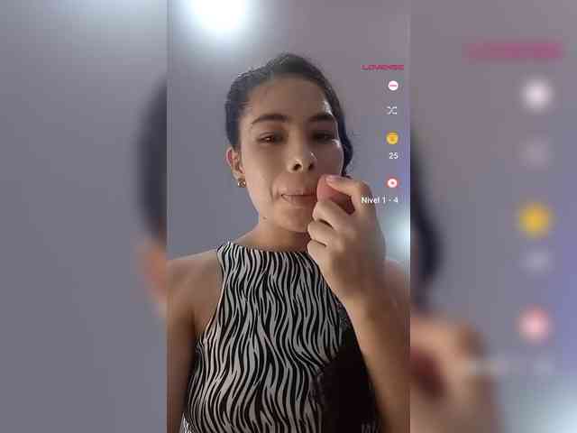 LeiaStone webcam