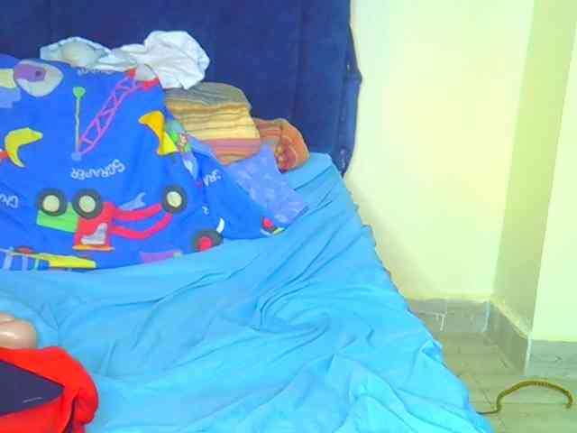 Miss-brandy webcam