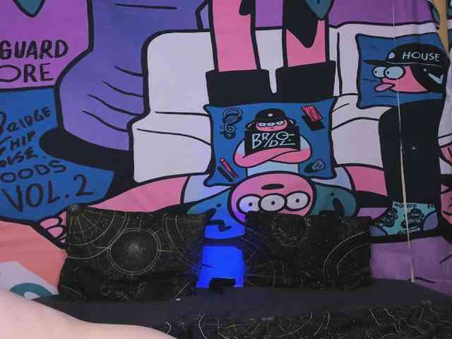 FlexxyLexy webcam