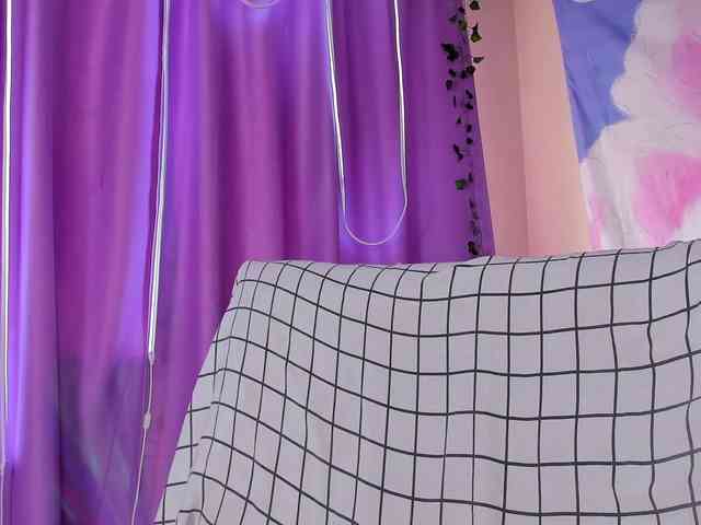 FlexxyLexy webcam