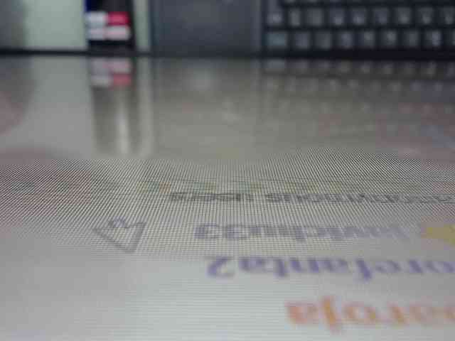 BebaRoja webcam