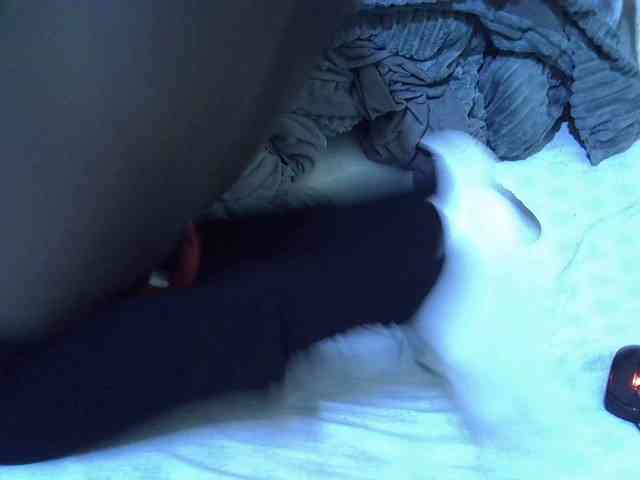 Sexyhanish
