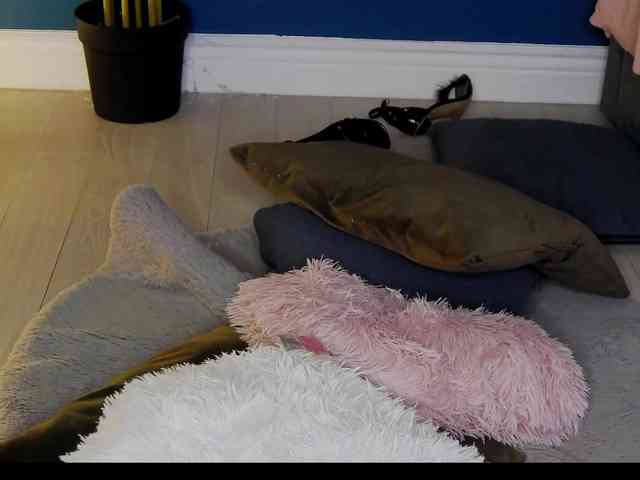 KimmDaviss KimmDaviss